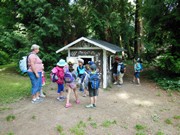 Celodenní výlet na Zámek Loučeň